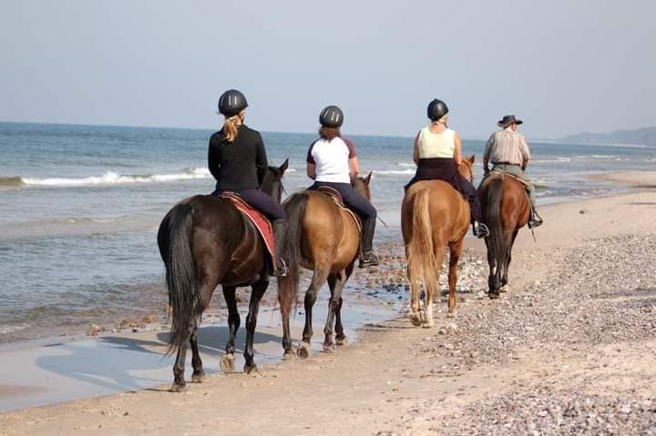 horses ride Horseback Beach Ride - What's Included