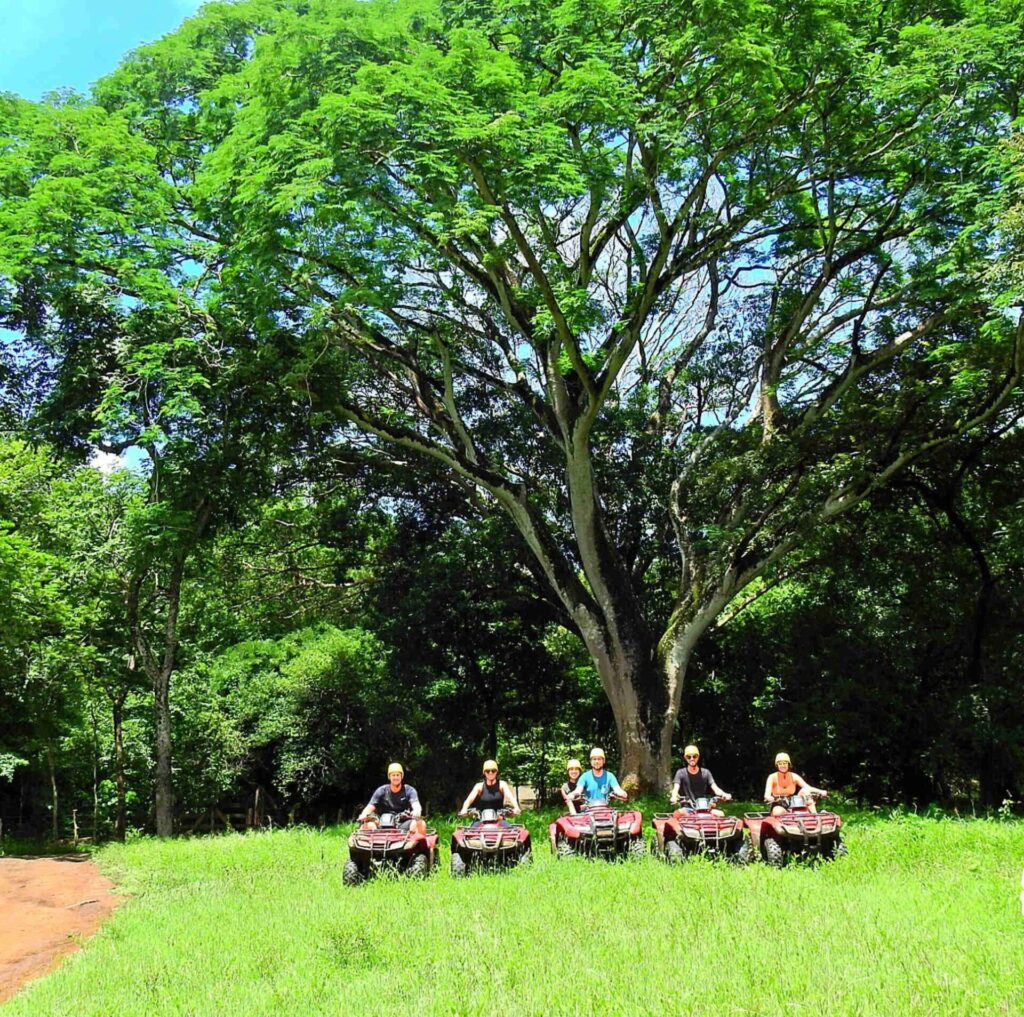 ATV Majestic Tree ATV Rural Costa Rica Brasilito Tours