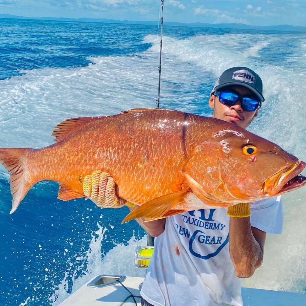 Big Catch Boomerang Big Catch Fishing Charters Brasilito Tours